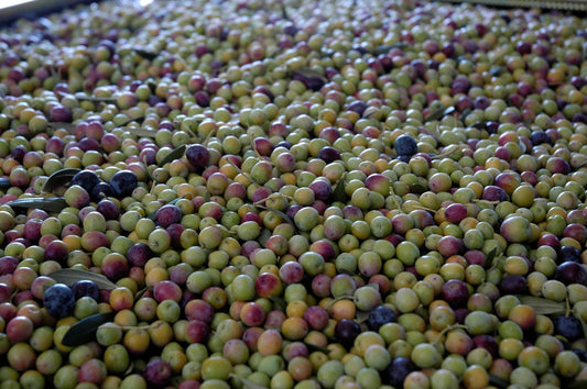 The Polyphenol Story
