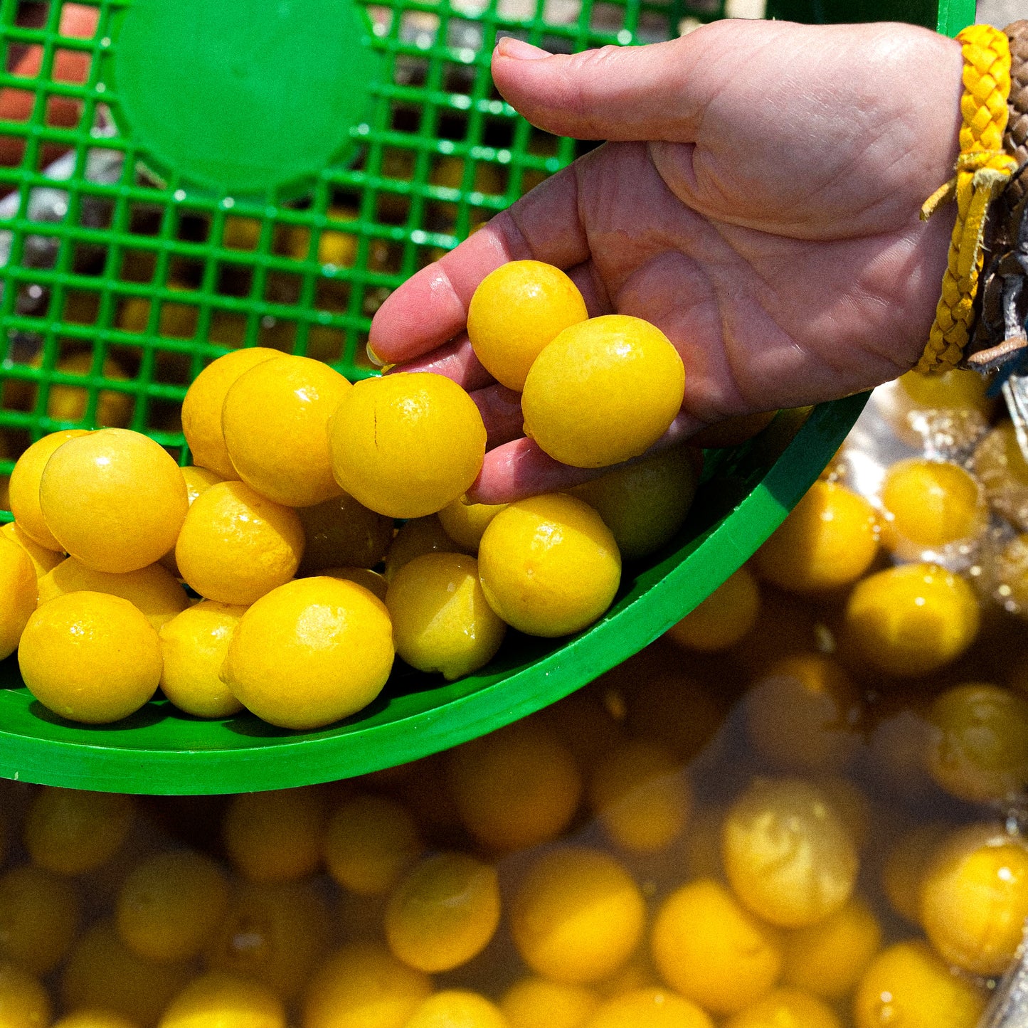 Baby Preserved Beldi Lemons 6 x 500g